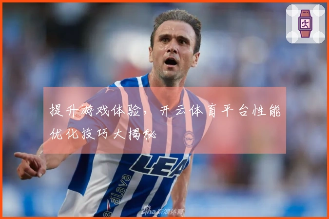 提升游戏体验，开云体育平台性能优化技巧大揭秘