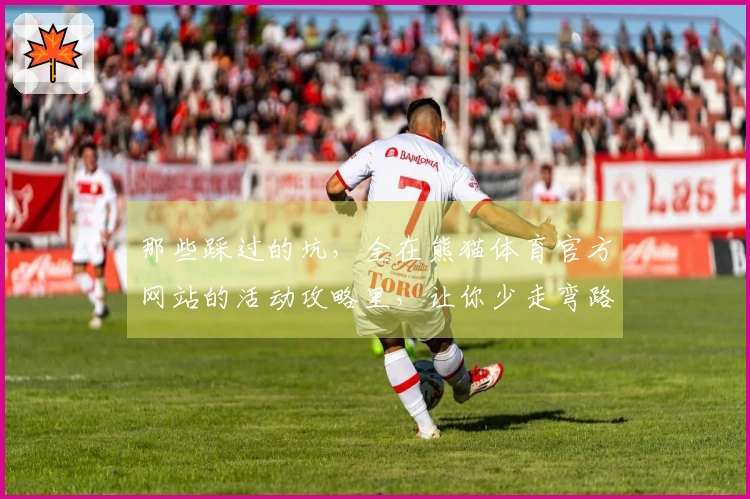 那些踩过的坑,全在熊猫体育官方网站的活动攻略里,让你少走弯路,收益最大化